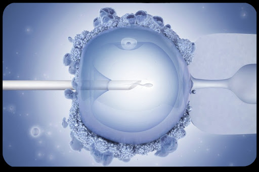 Ethicists Warn Against Three-Parent Reproductive Technology Maurizio De Angelis Wellcome Images