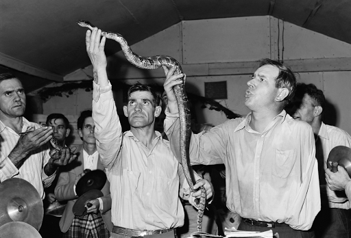 snake handlers