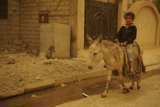Boy on donkey in Mosul