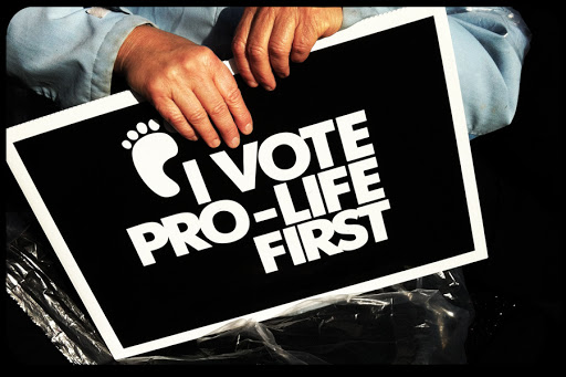 WEB-Pro-Life-Sign-Steve-Rhodes