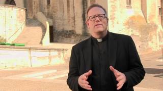Fr. Barron Visits Papal Palaces in Avignon