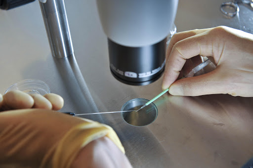 IVF procedure with microscope