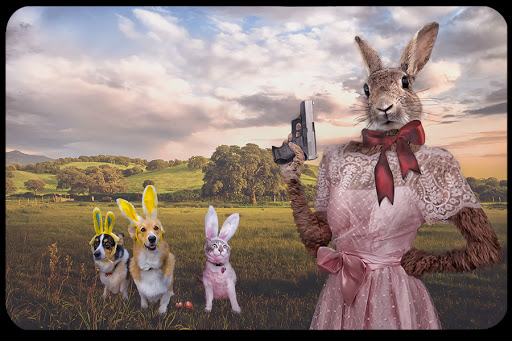 WEB-Easter-Rabbit-Gun-Dog-Cat-David-Blackwell-CC