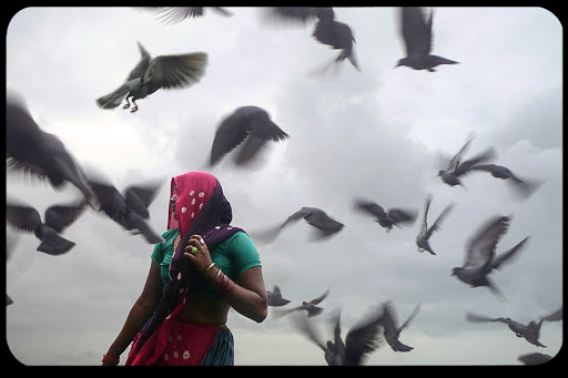 WEB-India-Woman-Birds-Anurag-Agnihotri-CC