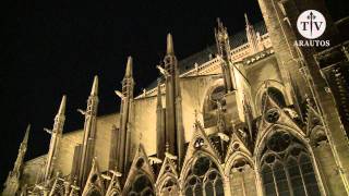 A tour of Notre Dame