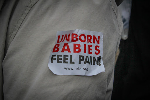 Unborn babies feel pain