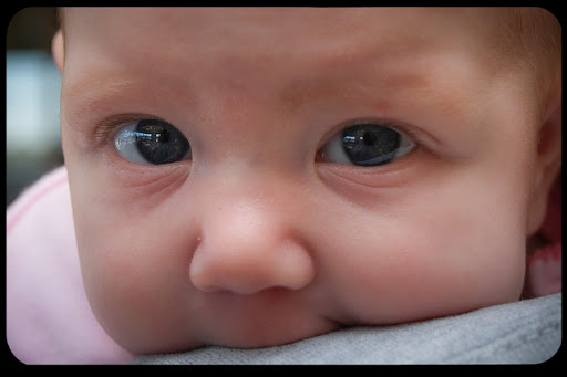 WEB-Baby-Infant-Eyes-Christina-Rutz-CC