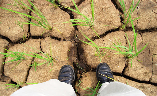 Man standing on scorched earth (drought)