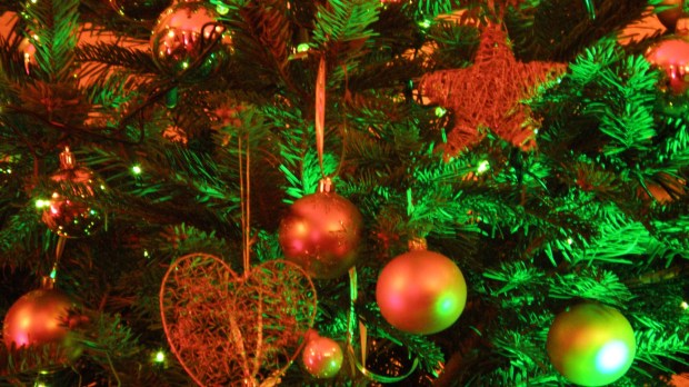 Christmas_tree_2008