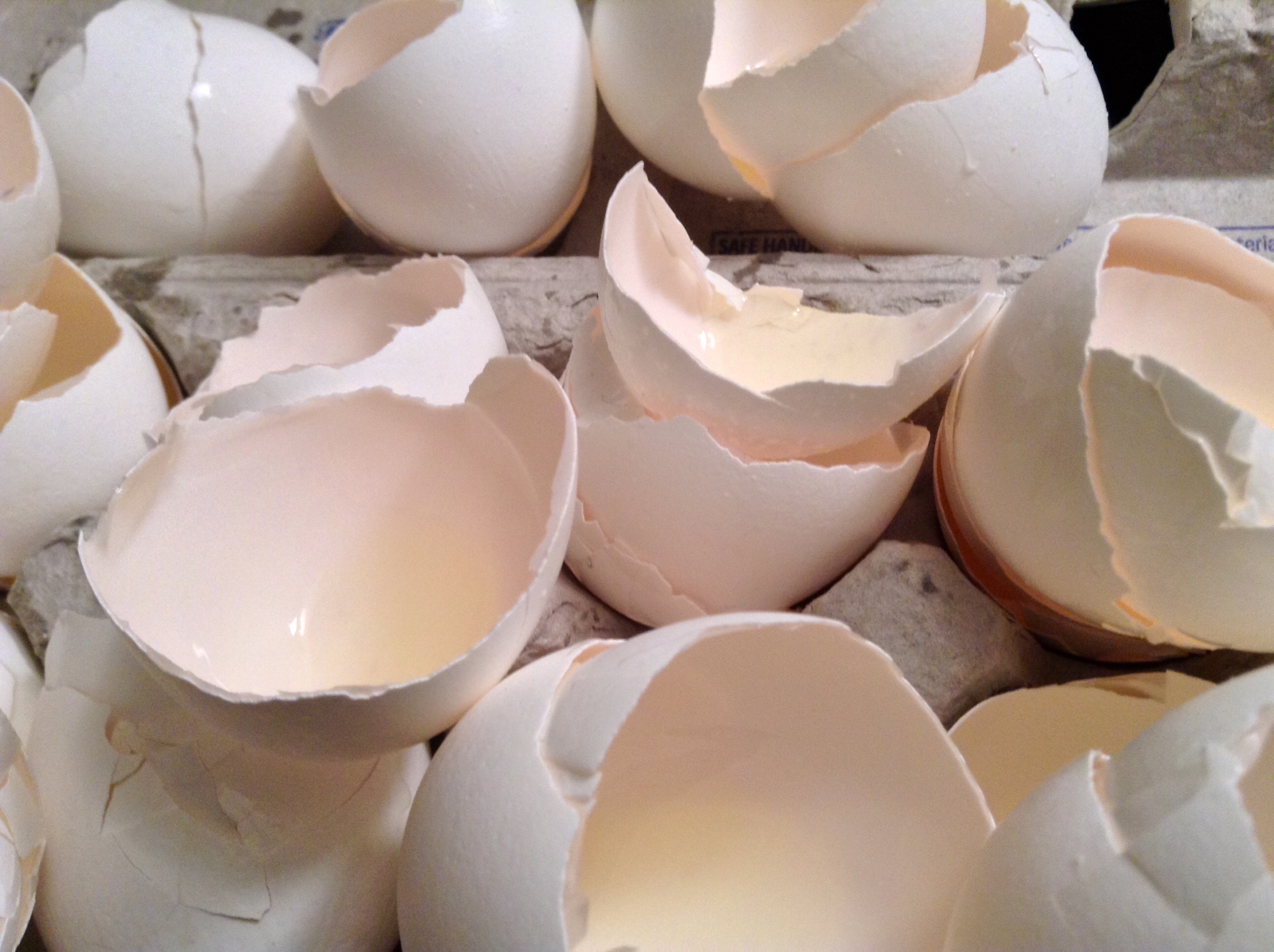 food blog eggshells