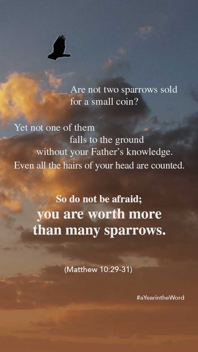 Matthew 10 29-31 (1)