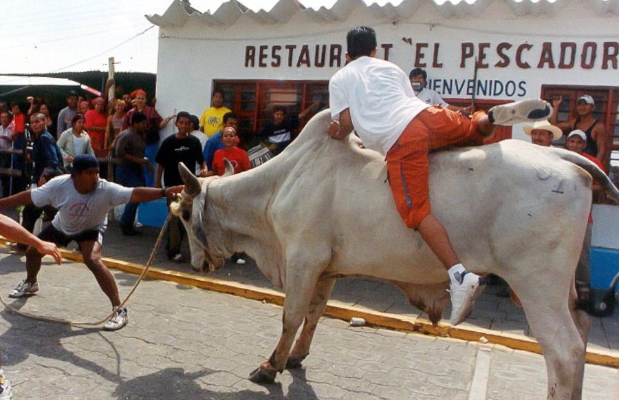 In Tlacotalpan,Veracruz People run from a bull during the annual Candlemas celebrations in Tlacotalpan, a pack of bull is let loose to rampage through the streets for hours as crowds taunt them as part of the celebration. 