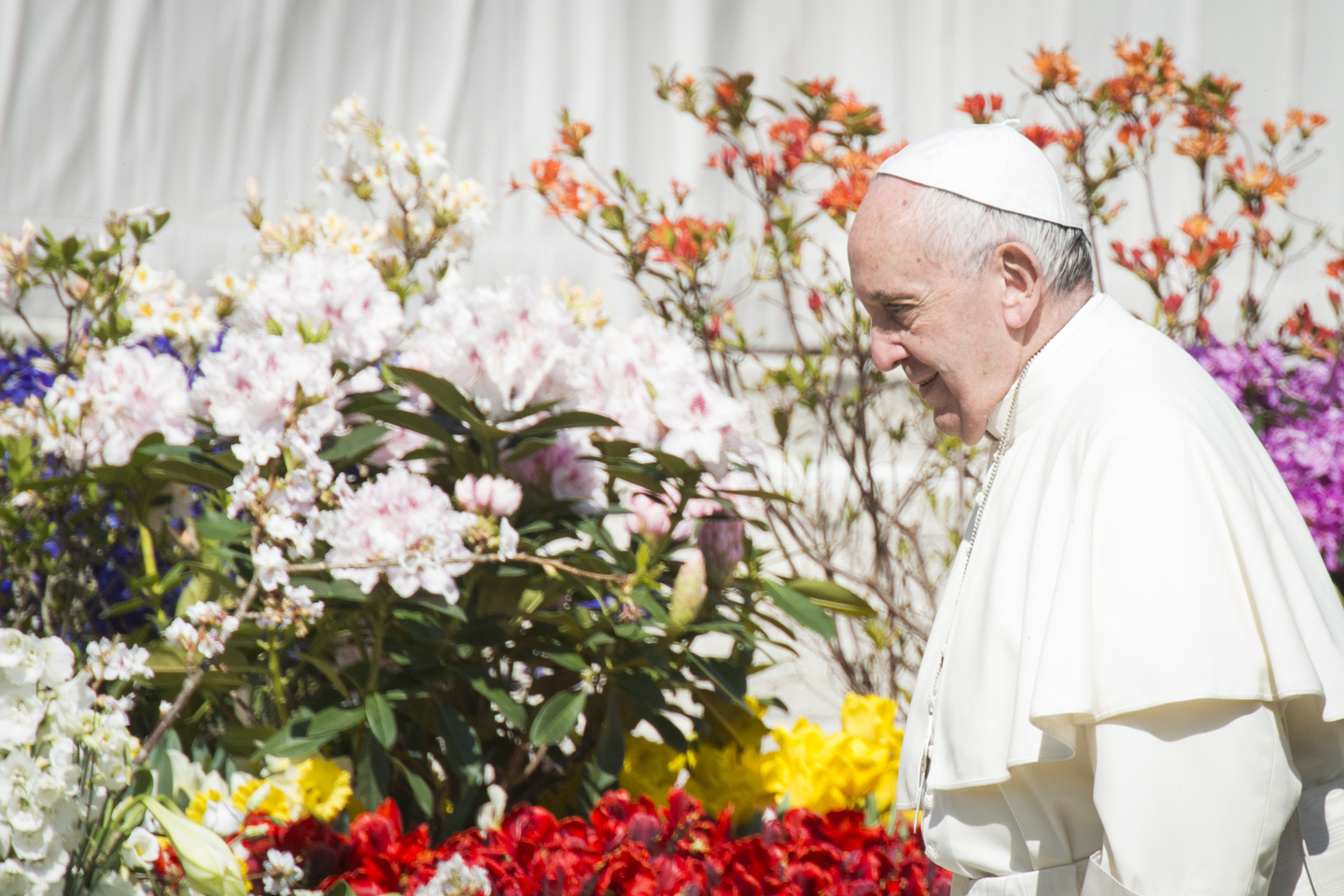 Topshots &#8211; Pope Francis walks past flowers &#8211; March 30, 2016