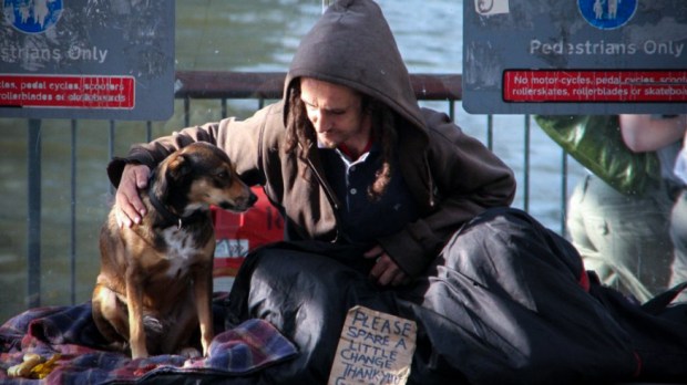 web-dog-homeless-man-sitting-steve-willey-cc