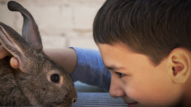 web-boy-rabbit-aprilphoto-shutterstock_111017531.jpg
