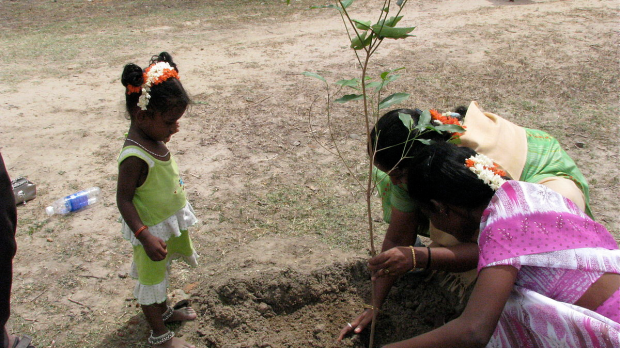 Planting trees India WOW