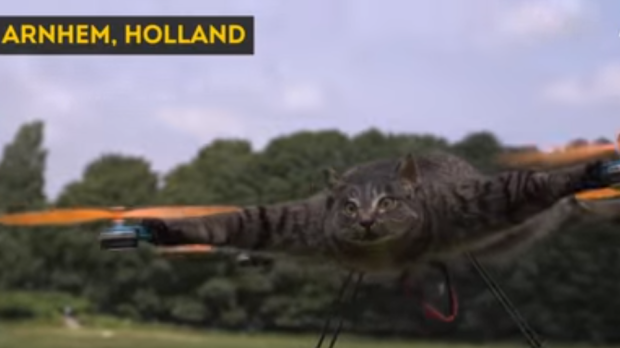 Cat-copter wow