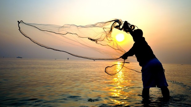 web-fishing-net-daily-catch-ekkchai-shutterstock_103735529