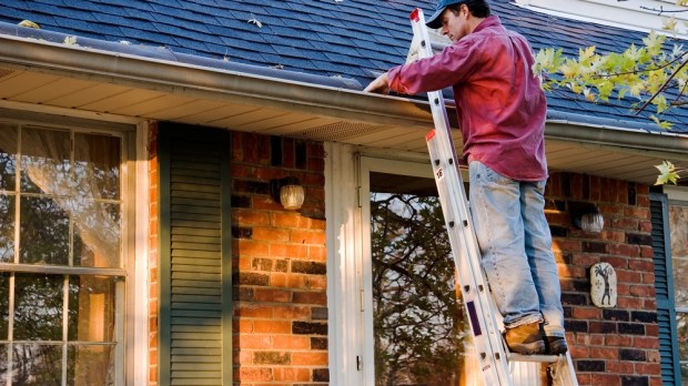 web-man-cleaning-gutters-on-ladder-greg-mcgill-shutterstock