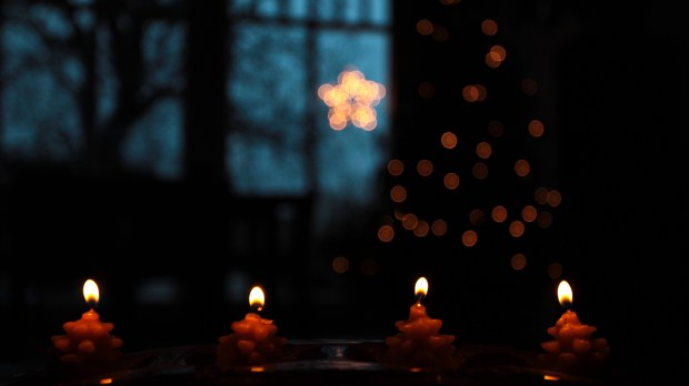 web-advent-candles-dark-night-bokeh-star-tree-moment-catcher-cc