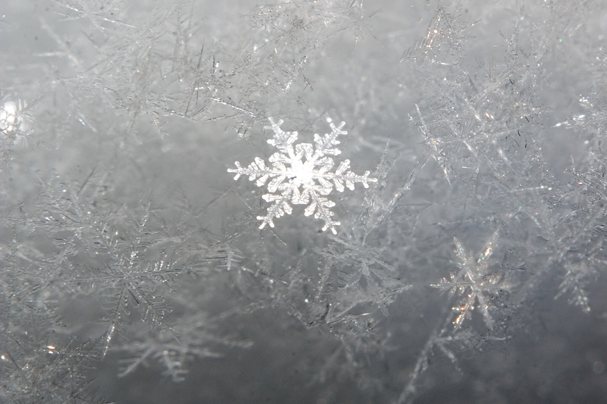 web-snowflake-001-jasper-nance-cc