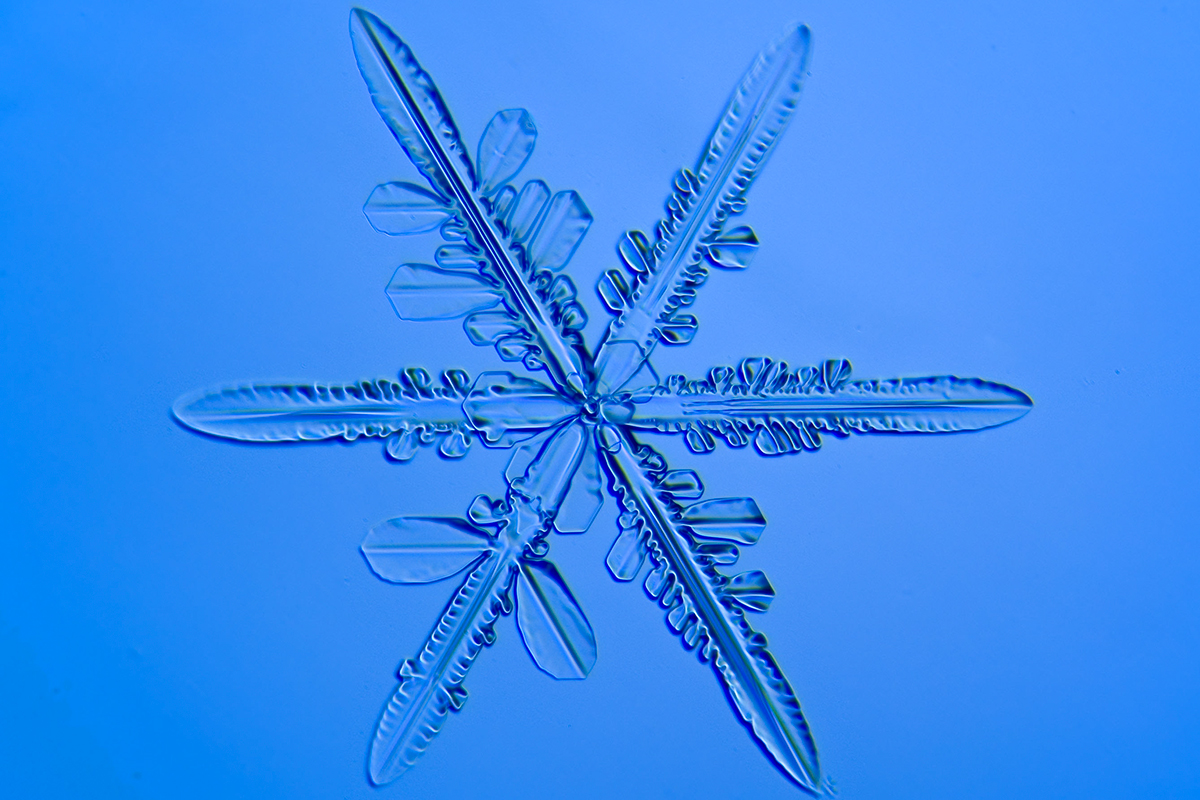 web-snowflake-002-jasper-nance-cc