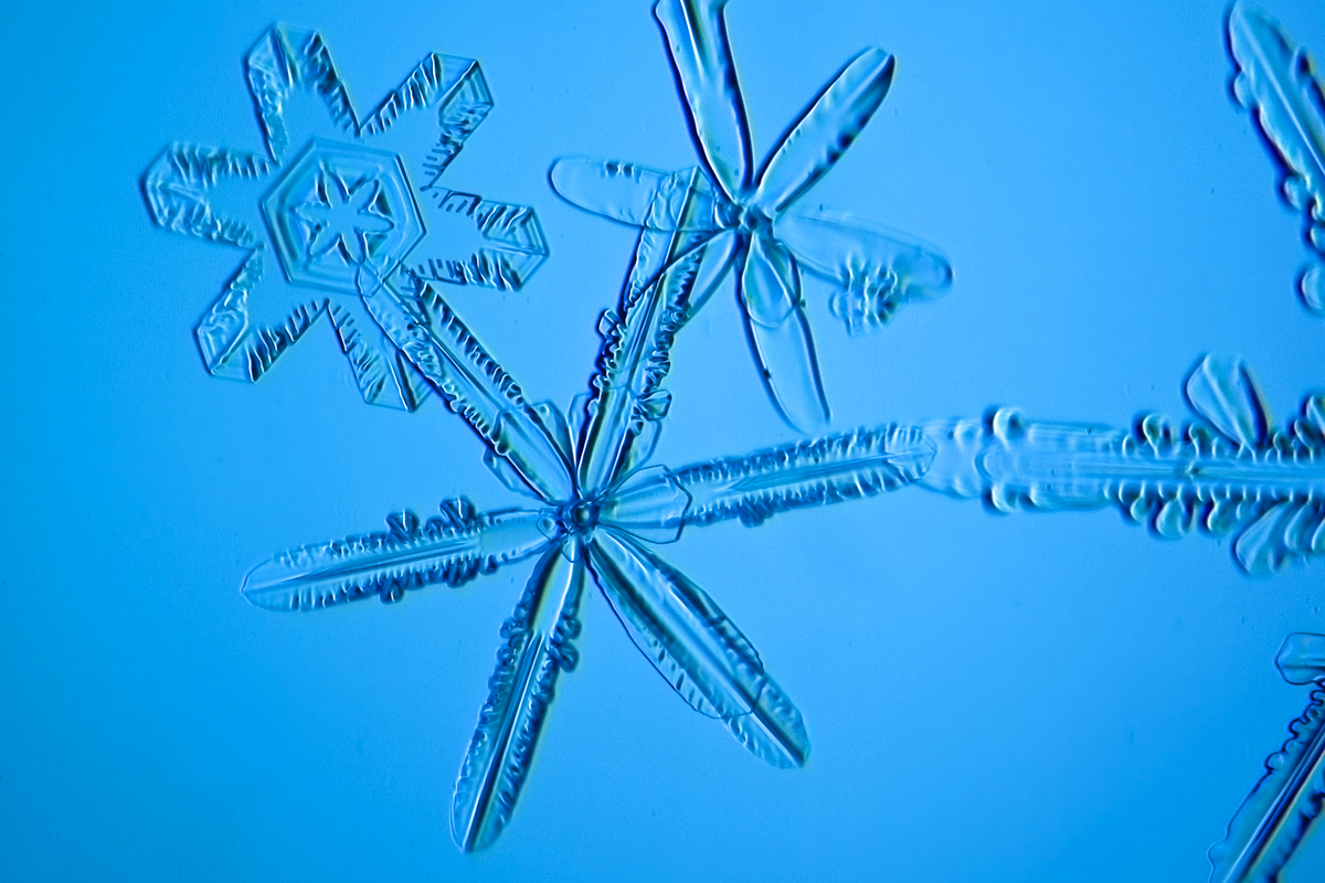 web-snowflake-003-jasper-nance-cc