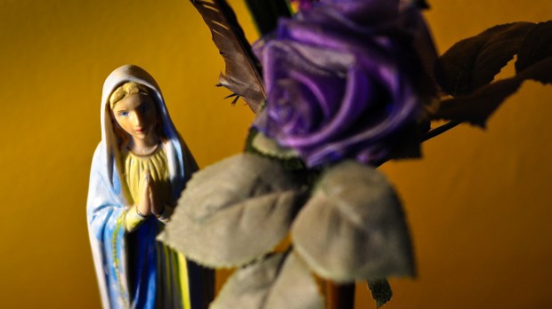 web-blessed-mother-mary-purple-flower-statue-racineur-cc