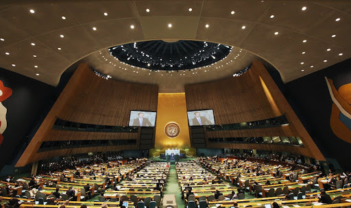 United Nations (UN) &#8211; pt