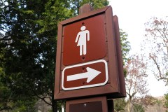 The greatest sex scandal may be the drive to abolish male and female