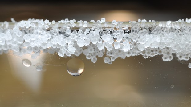 Salt crystals magnified