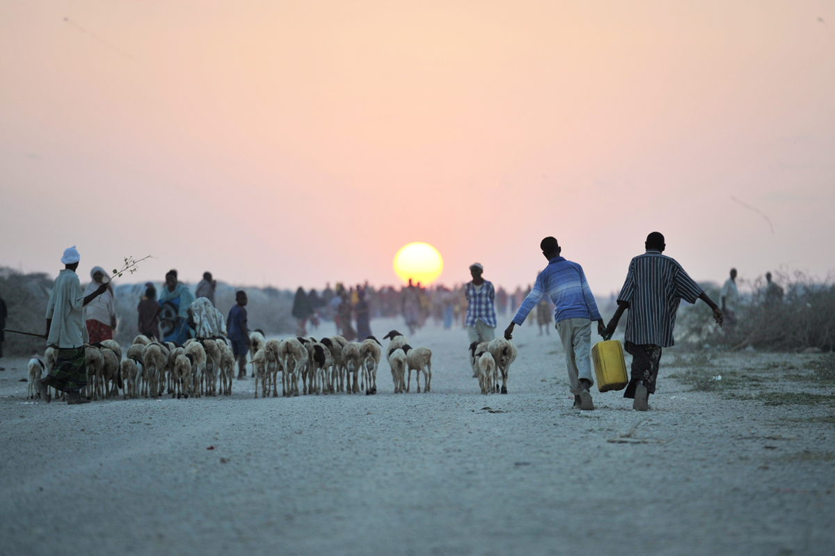 Jowhar IDP Camp in Somalia