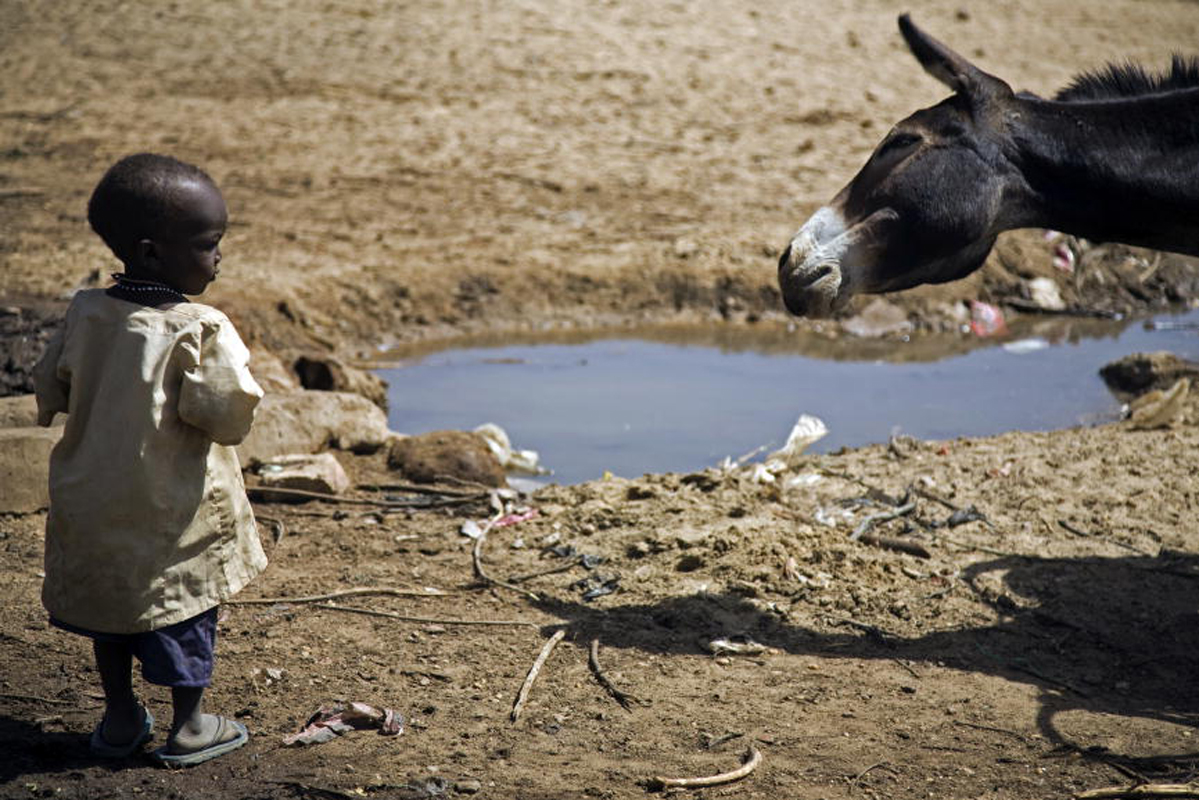 Former Refugees Resume Village Life in Darfur