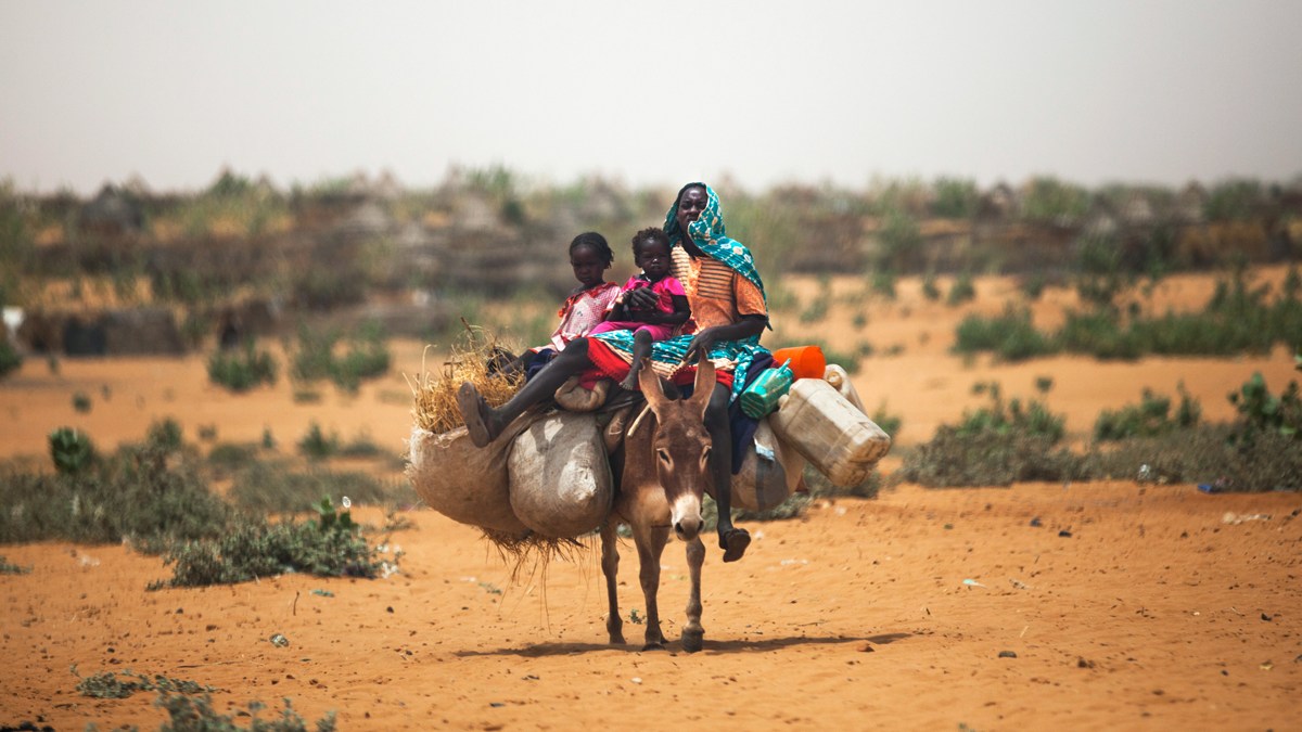 New displacement in Zam Zam camp