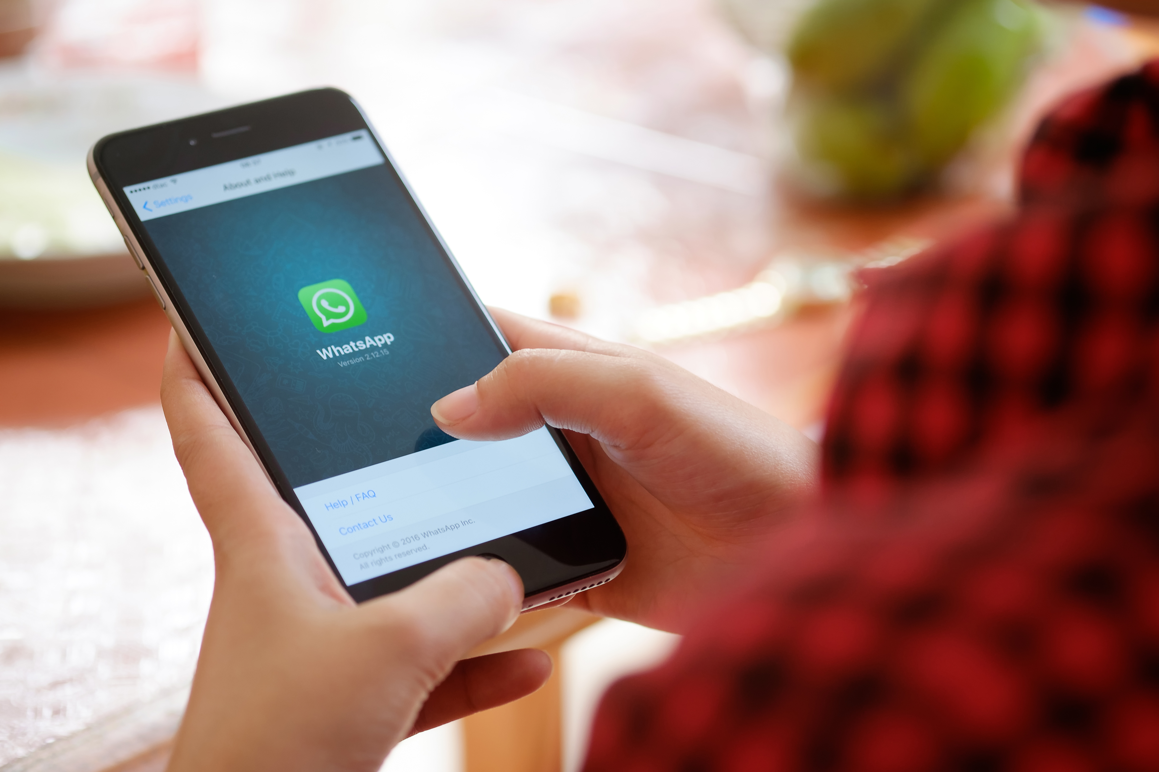 WEB WHATSAPP MOBILE APPLICATION SOCIAL NETWORK © d8nn : Shutterstock.com