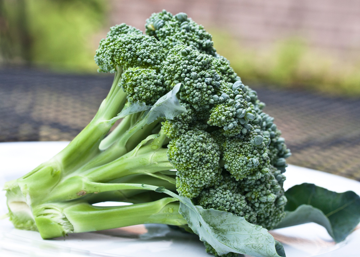 WEB3-BROCCOLI-GREEN-LEAFY-VEGETABLE-PLATE-FOOD-NUTRITION-Liz-West-Flickr-CC