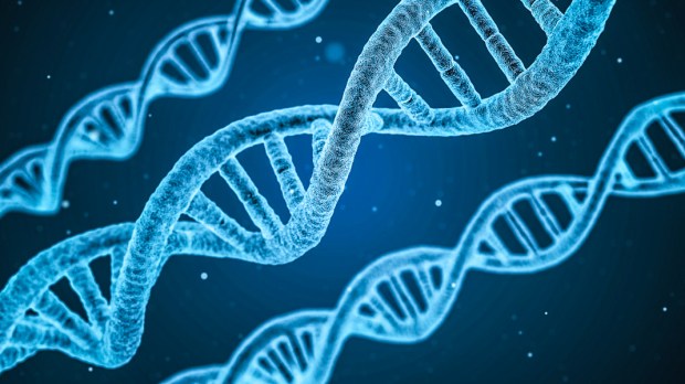 WEB3 HUMAN DNA MIRACLE Qimono Pixabaydna-1811955_1920
