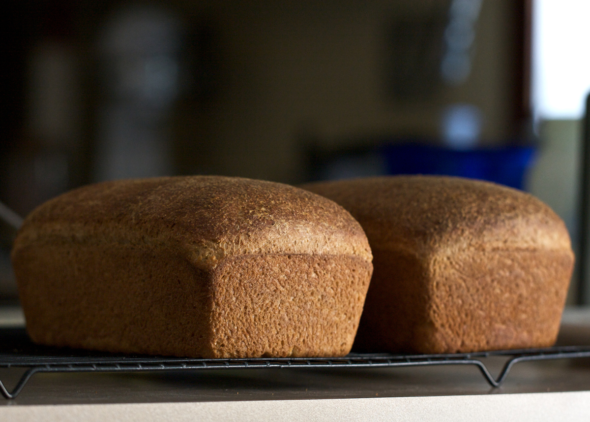 WEB3-LOAVES-LOAF-BREAD-WHOLE-WHEAT-FOOD-NUTRITION-Susy-Morris-Flickr-CC