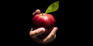 &#8220;Lead us not into temptation&#8221;: Wait, what? We have to tell God not to do that?