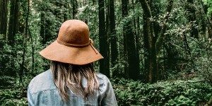 Trees sing to us, so why not bathe in them more often?