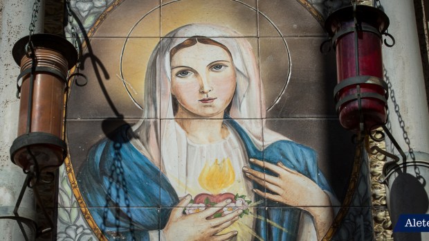 Immaculate Heart of Mary – MD004