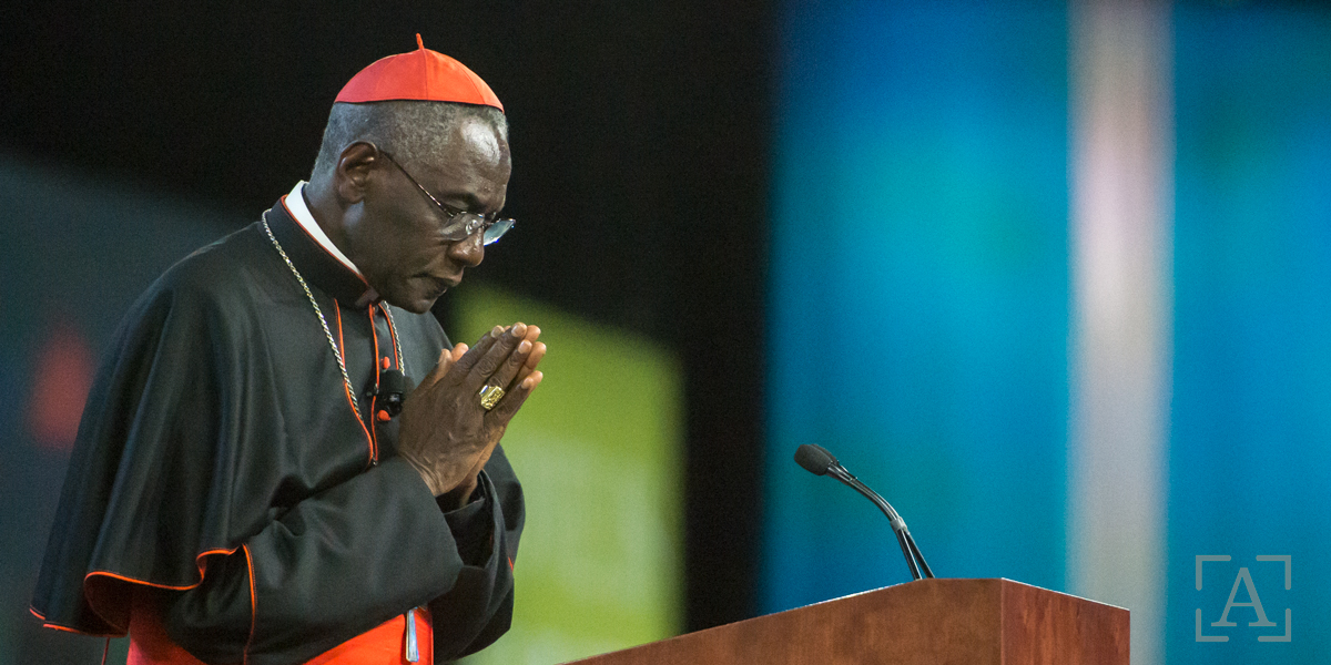 Benedict XVI The Power of Silence Cardinal Sarah -- Aleteia