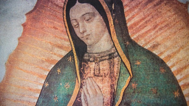 WEB3-Our-Lady-of-Guadalupe-Antoine-Mekary&#8212;AM_8487
