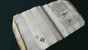 CAT PAW MANUSCRIPT