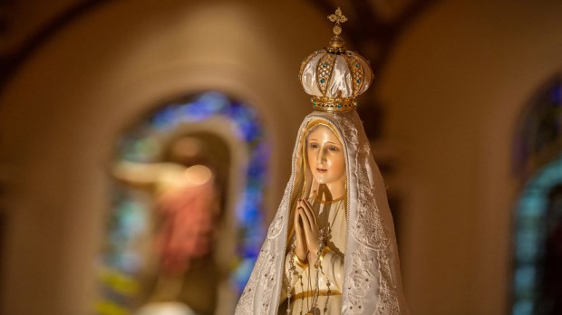 WEB3-Our Lady of Fatima &#8211; Pilgrim Statue-denniscallahanphotos.smugmug.com-CC
