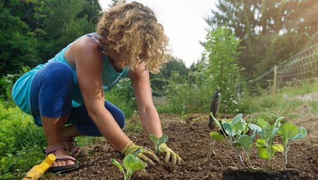 WOMAN GARDENING