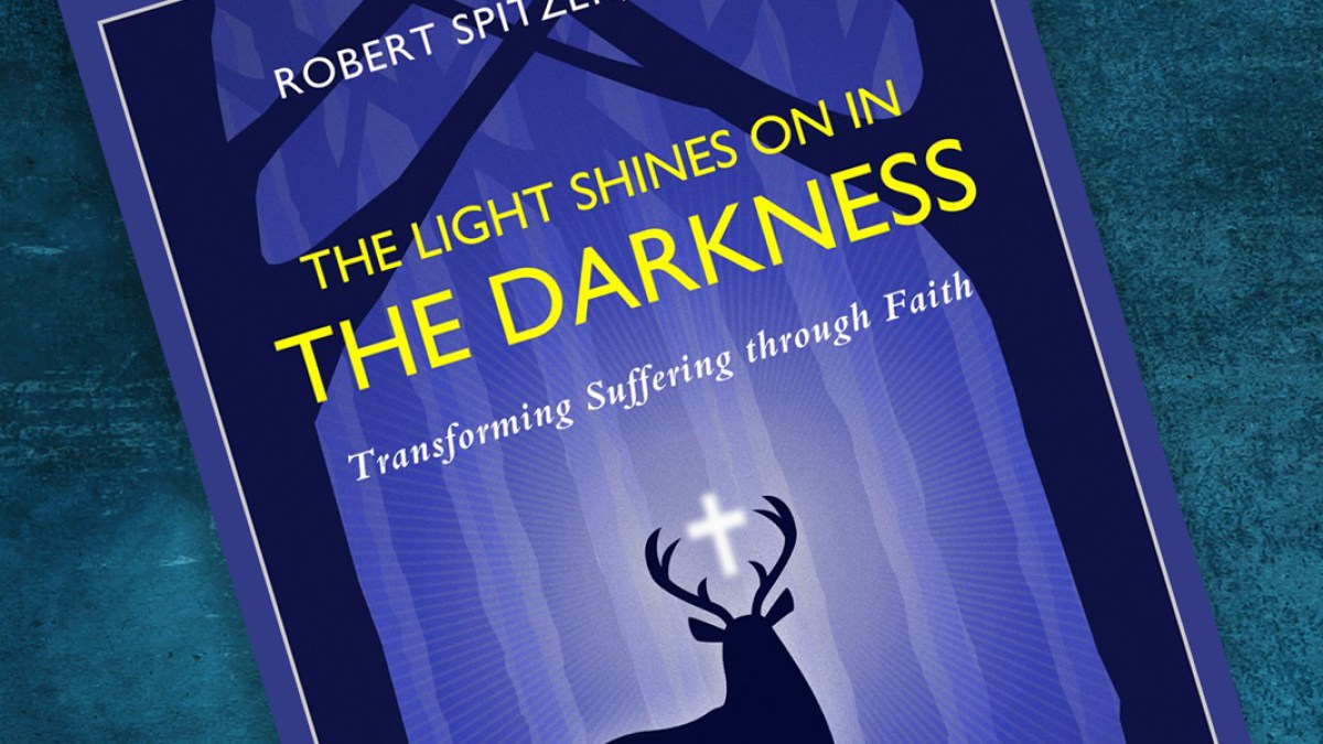 THE LIGHT SHINES ON IN DARKNESS