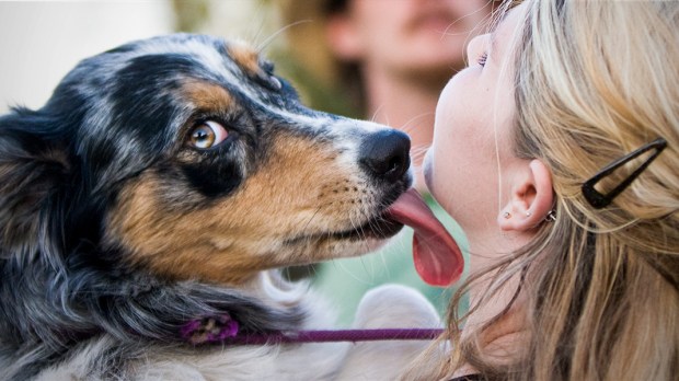 Dog Licking Owner