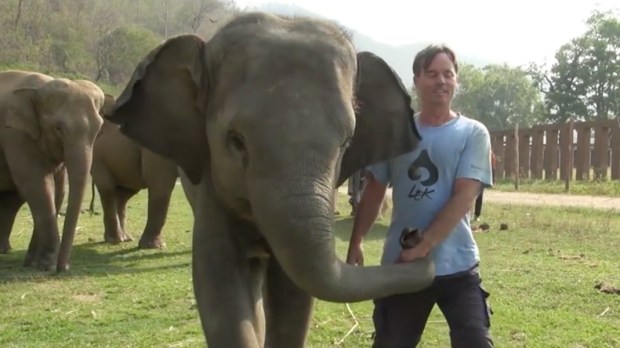 Connection between humans and animals--Aleteia Connection between humans and animals--Aleteia