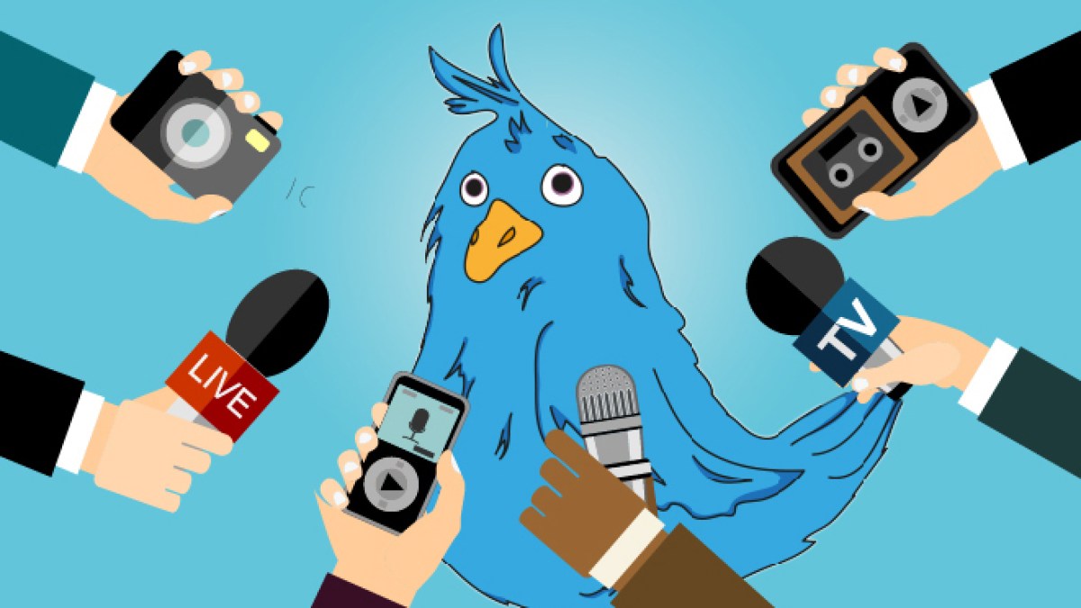 TWITTER BIRD INTERVIEW